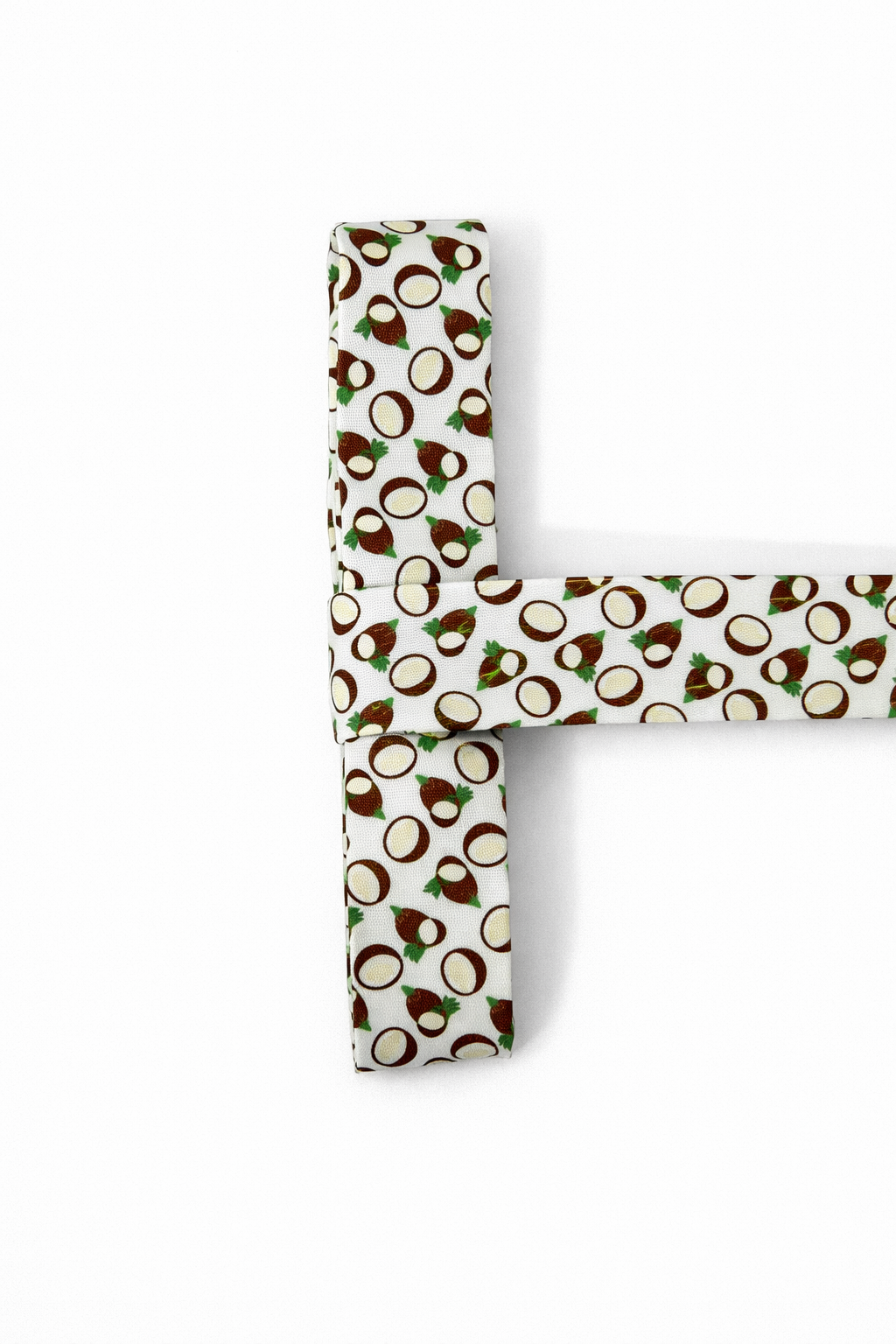 Biais motif fruit - 2cm