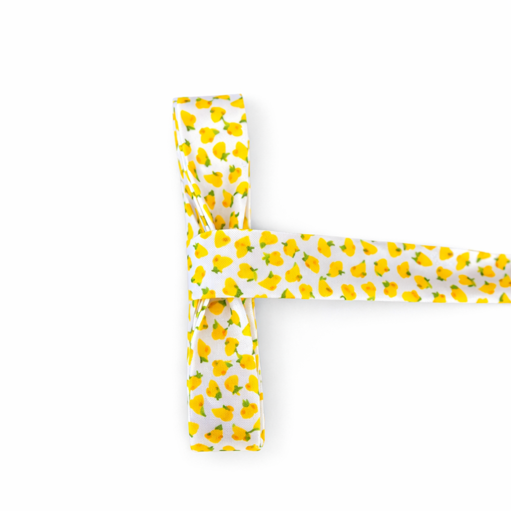 Biais motif fruit - 2cm